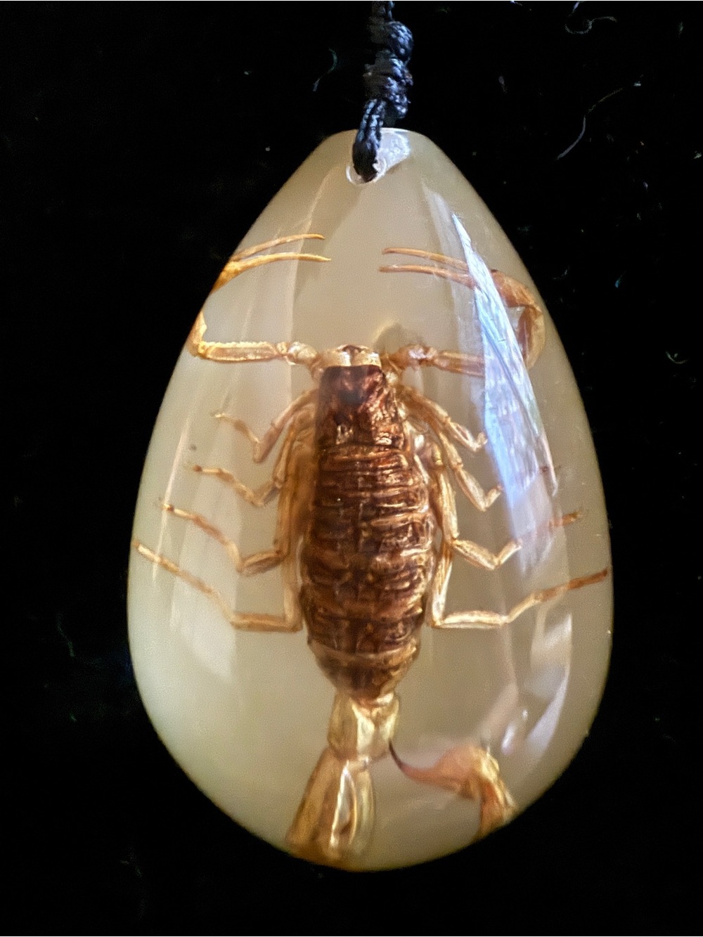 Scorpion Resin Pendant Necklace – NIB